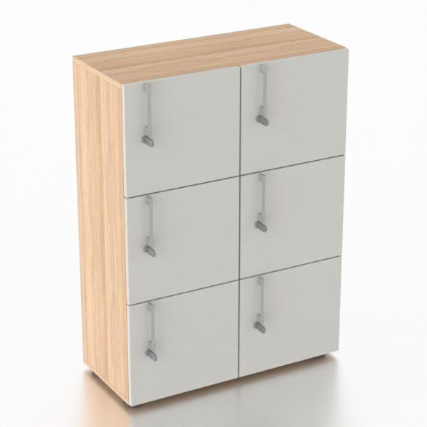 NOVA 6 Compartment Locker