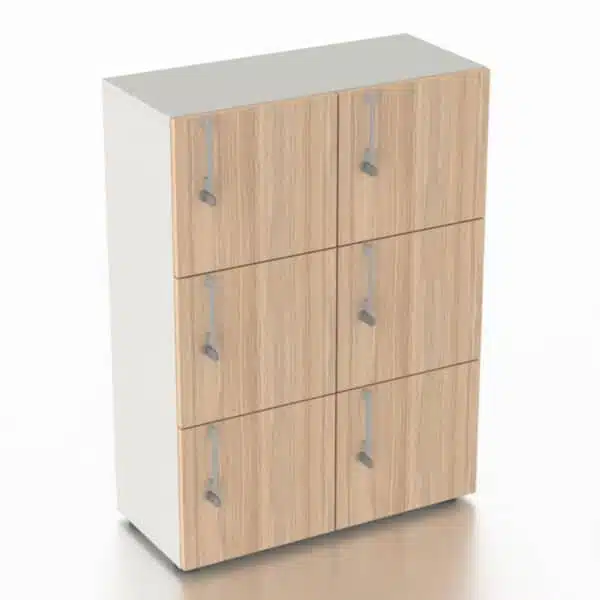 NOVA 6 Compartment Locker