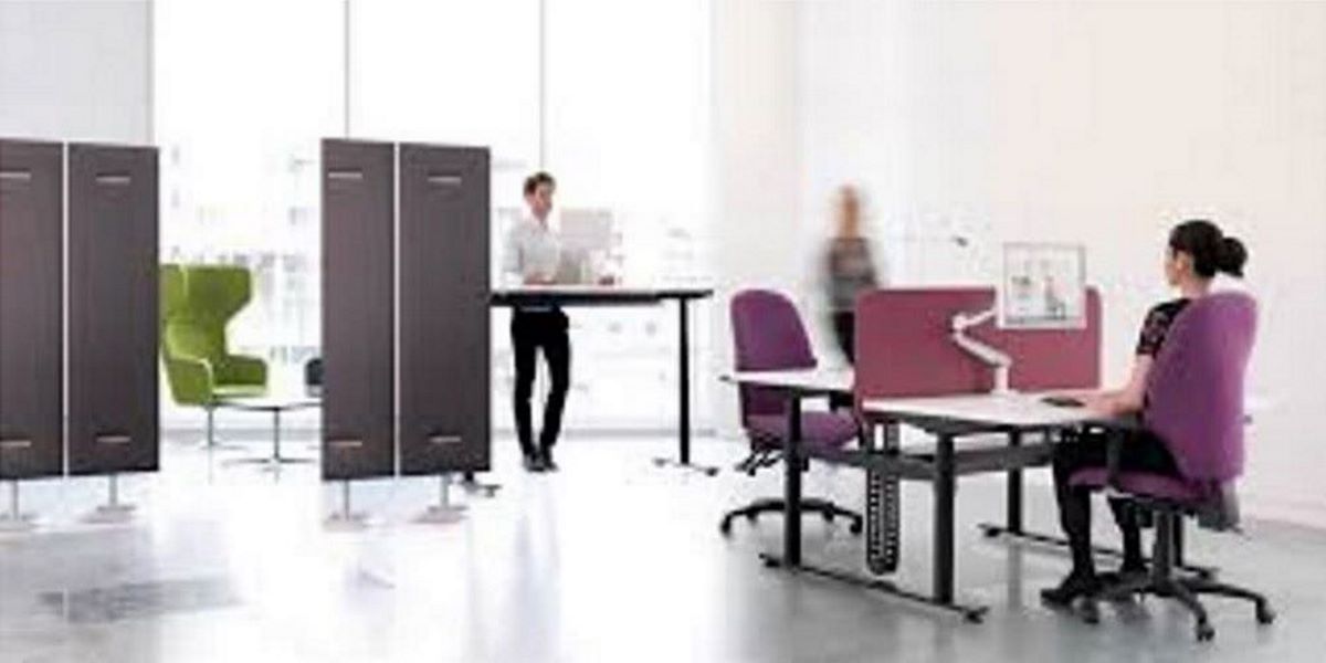 Display Screen Equipment Assessments 1 Display Screen Equipment Assessments
