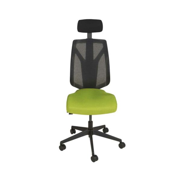 ENCORE Mesh Back Task Chair with Head Rest