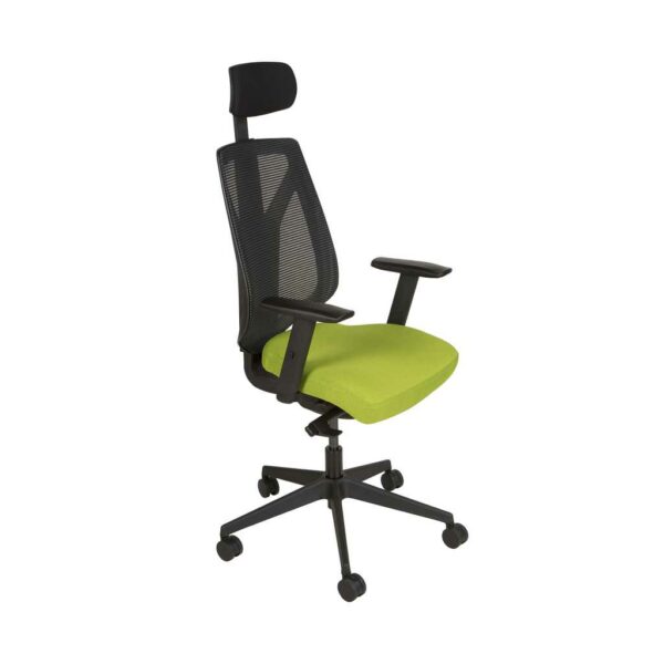 ENCORE Mesh Back Task Chair with Head Rest