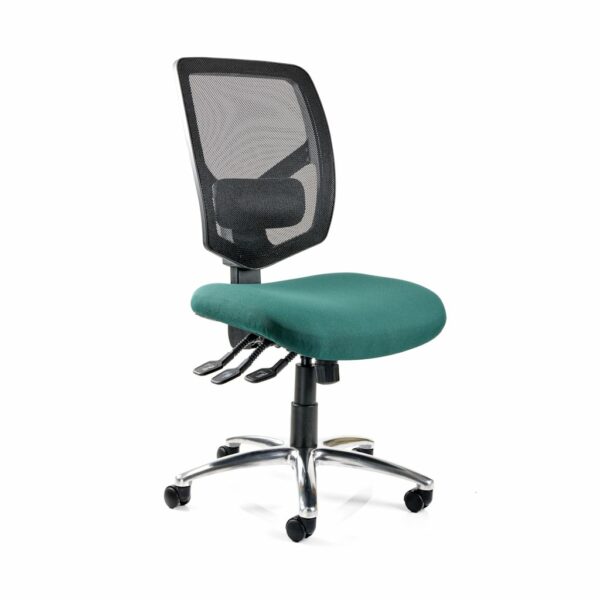 HADDON Bariatric Chair