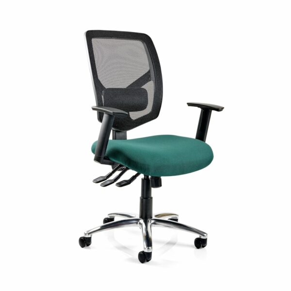 HADDON Bariatric Chair