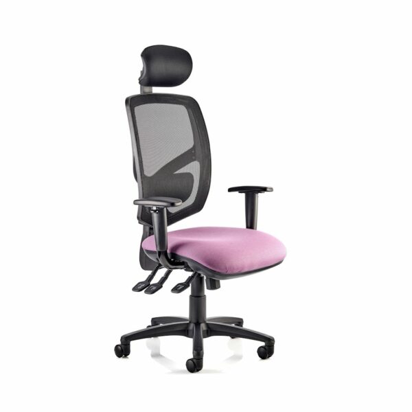 HADDON Mesh Back Task Chair with Head Rest