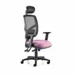 HADDON Mesh Back Task Chair with Head Rest