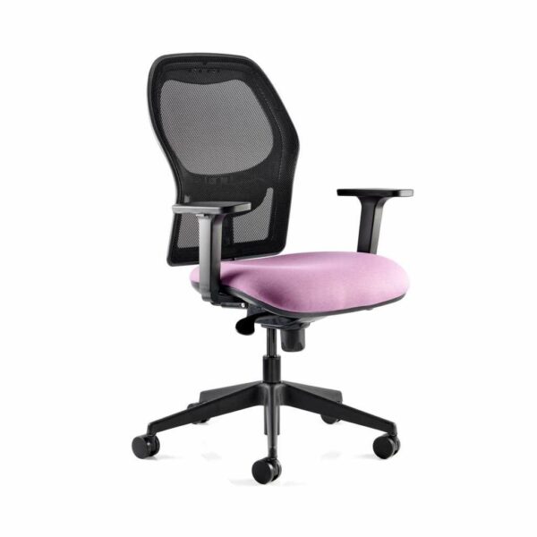 APPLAUSE Mesh Back Task Chair